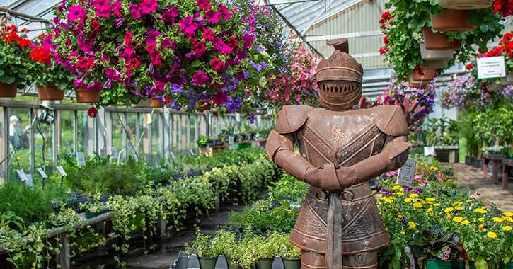 Store Olde Saratoga Home