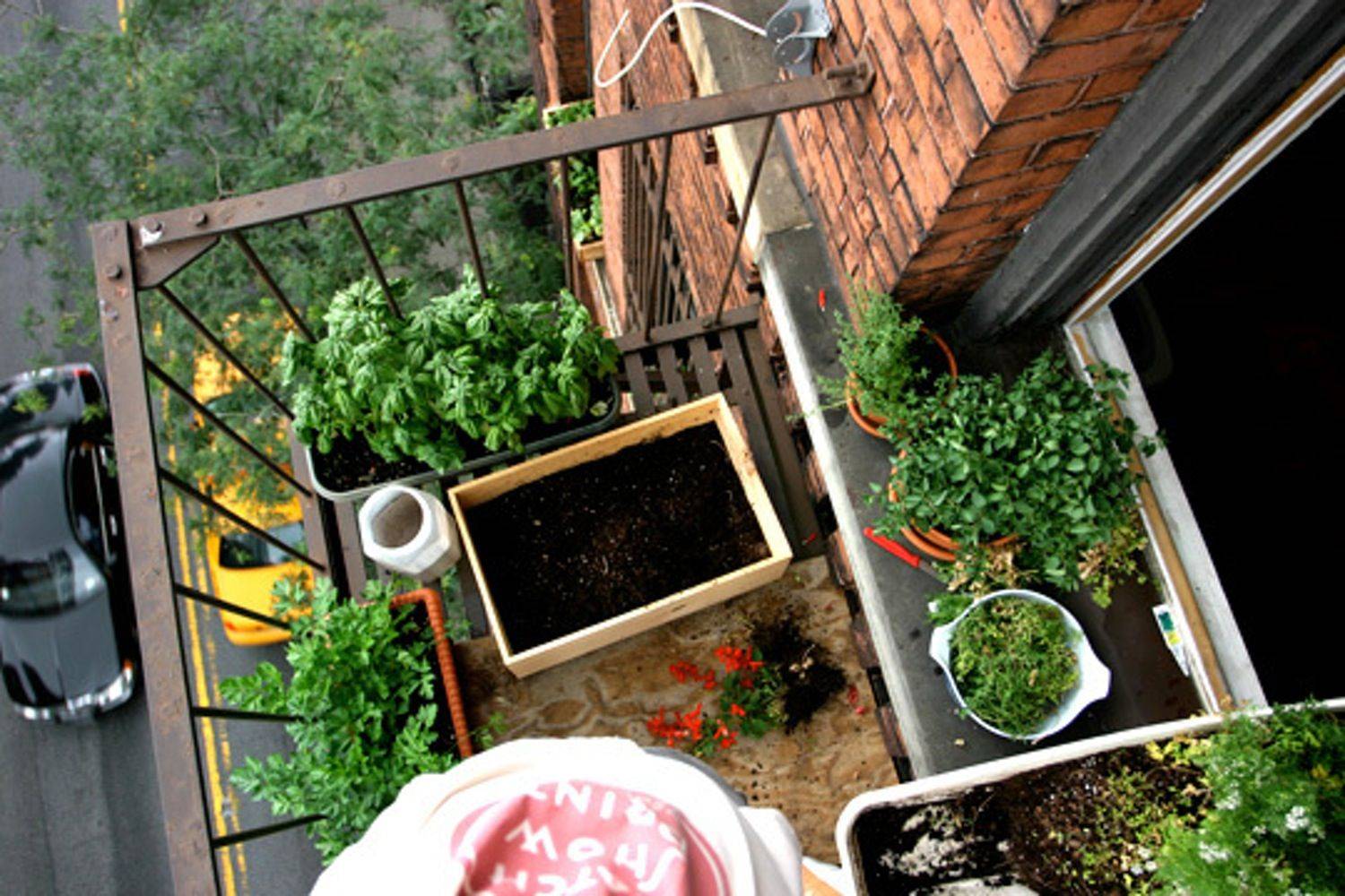 Apartment Herb Garden Tips Apartment Gardening