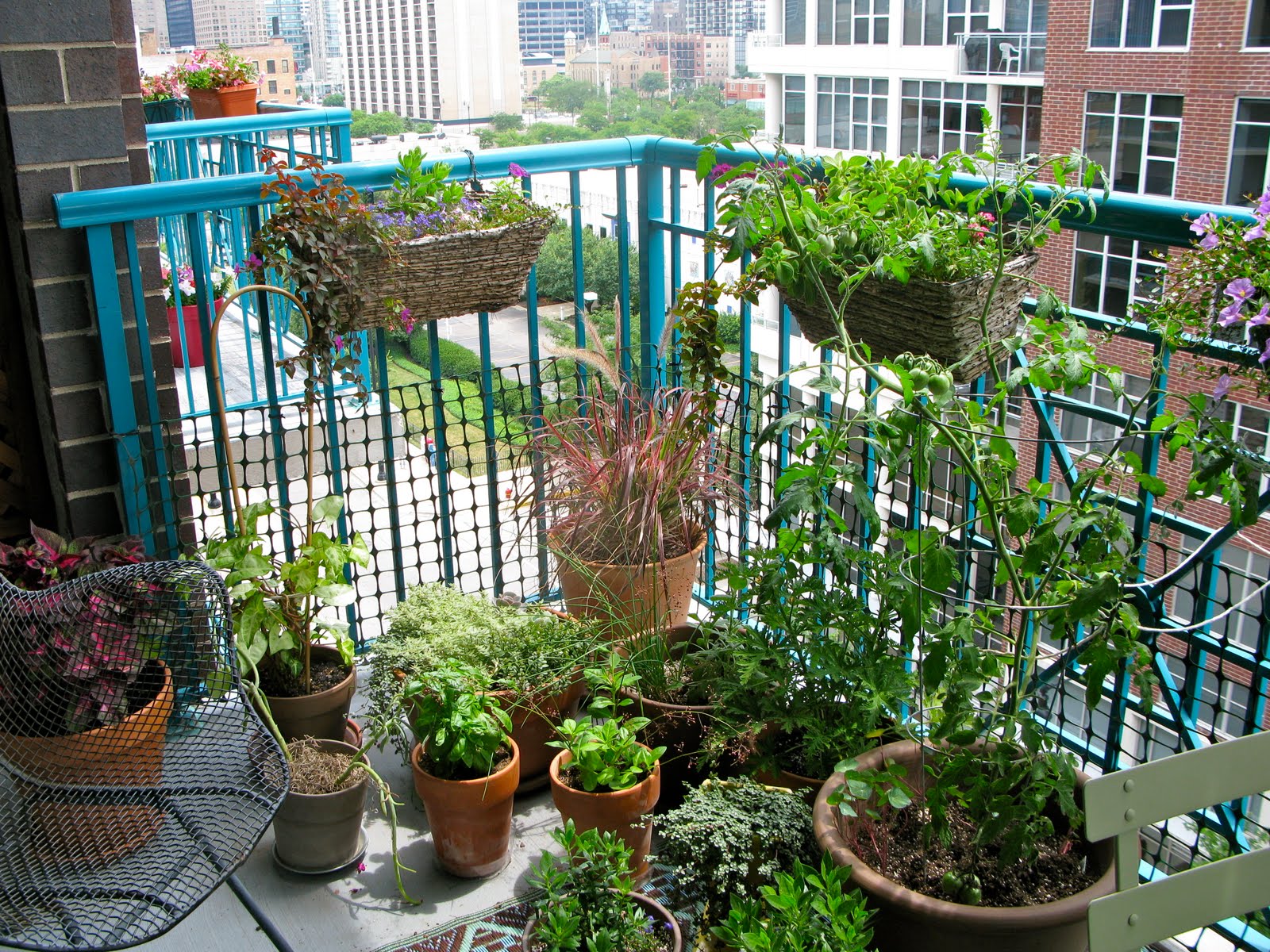 Apartment Patio Vegetable Garden A