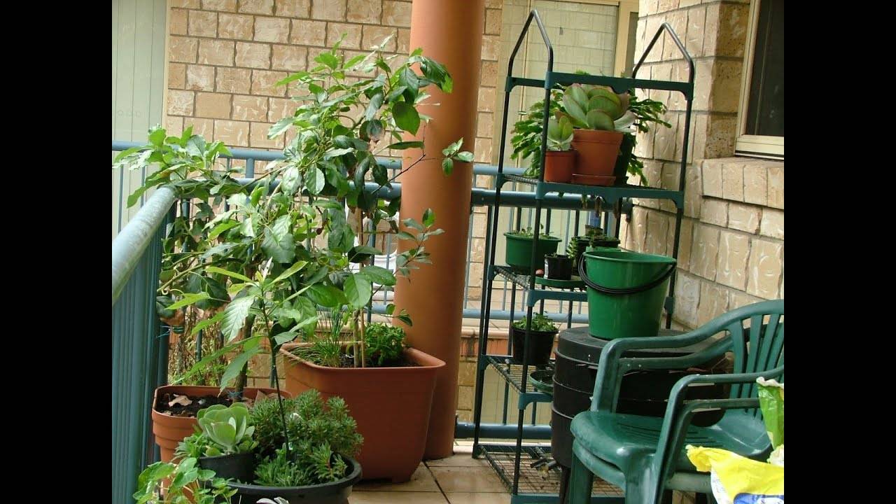 Apartment Herb Gardens