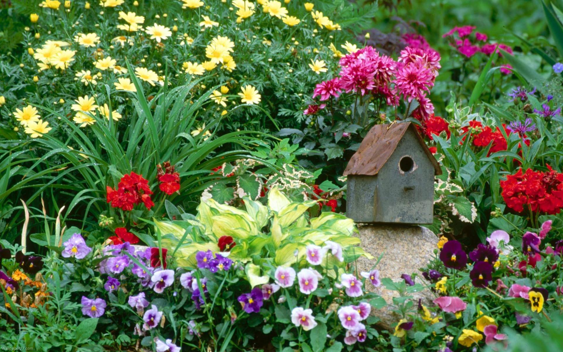 Best Impressive Sun Perennials Front Yard Ideas