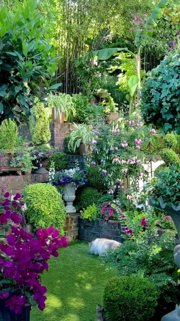 Garden Hd Images Baltana