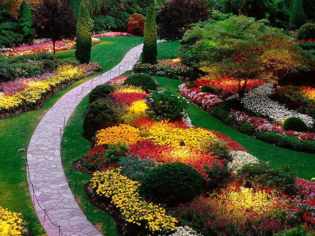 Garden Pictures
