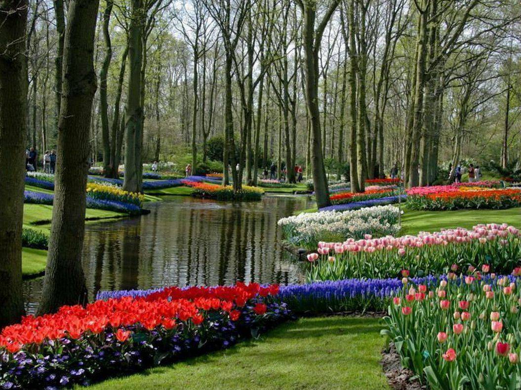 Keukenhof Gardens Lisse