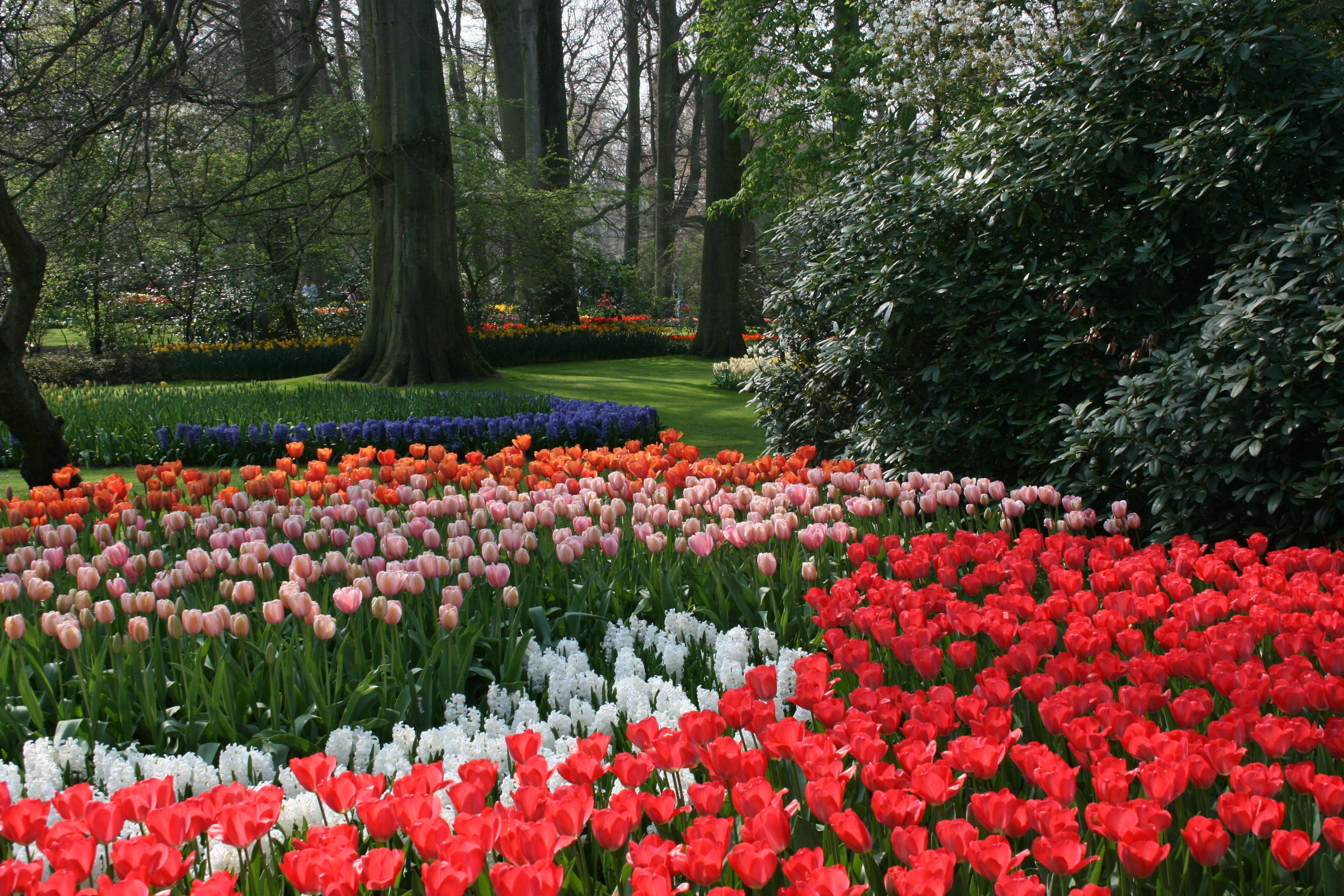 Spring Garden Keukenhof