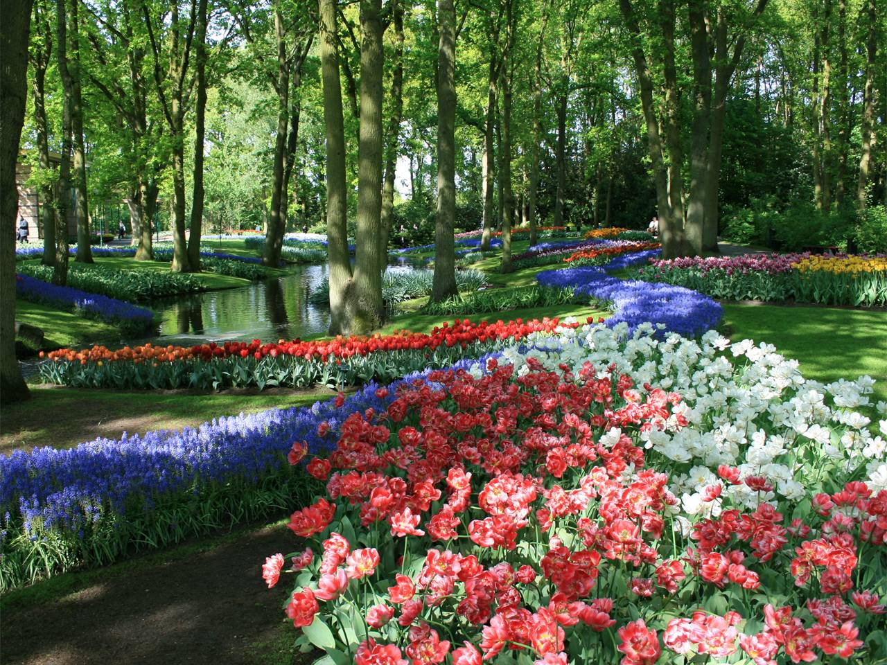 Holland Keukenhof