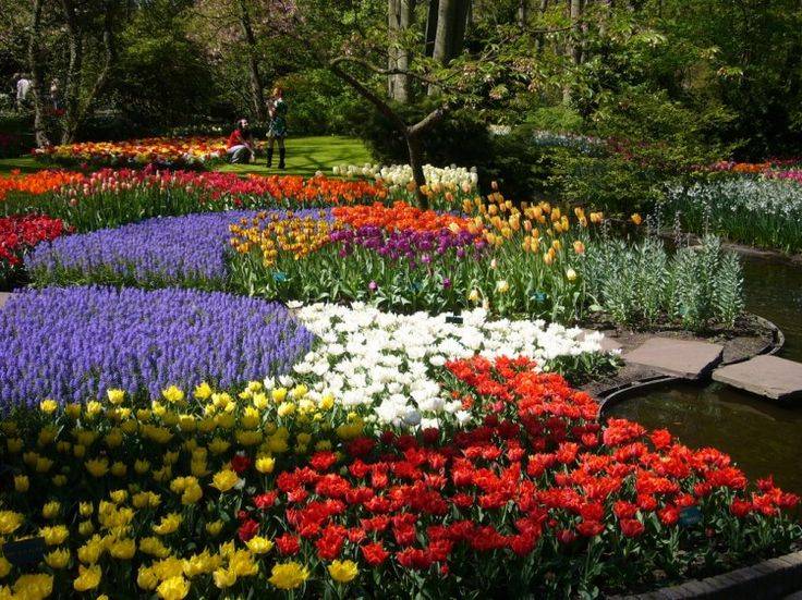 The Most Stunning Tulip Garden