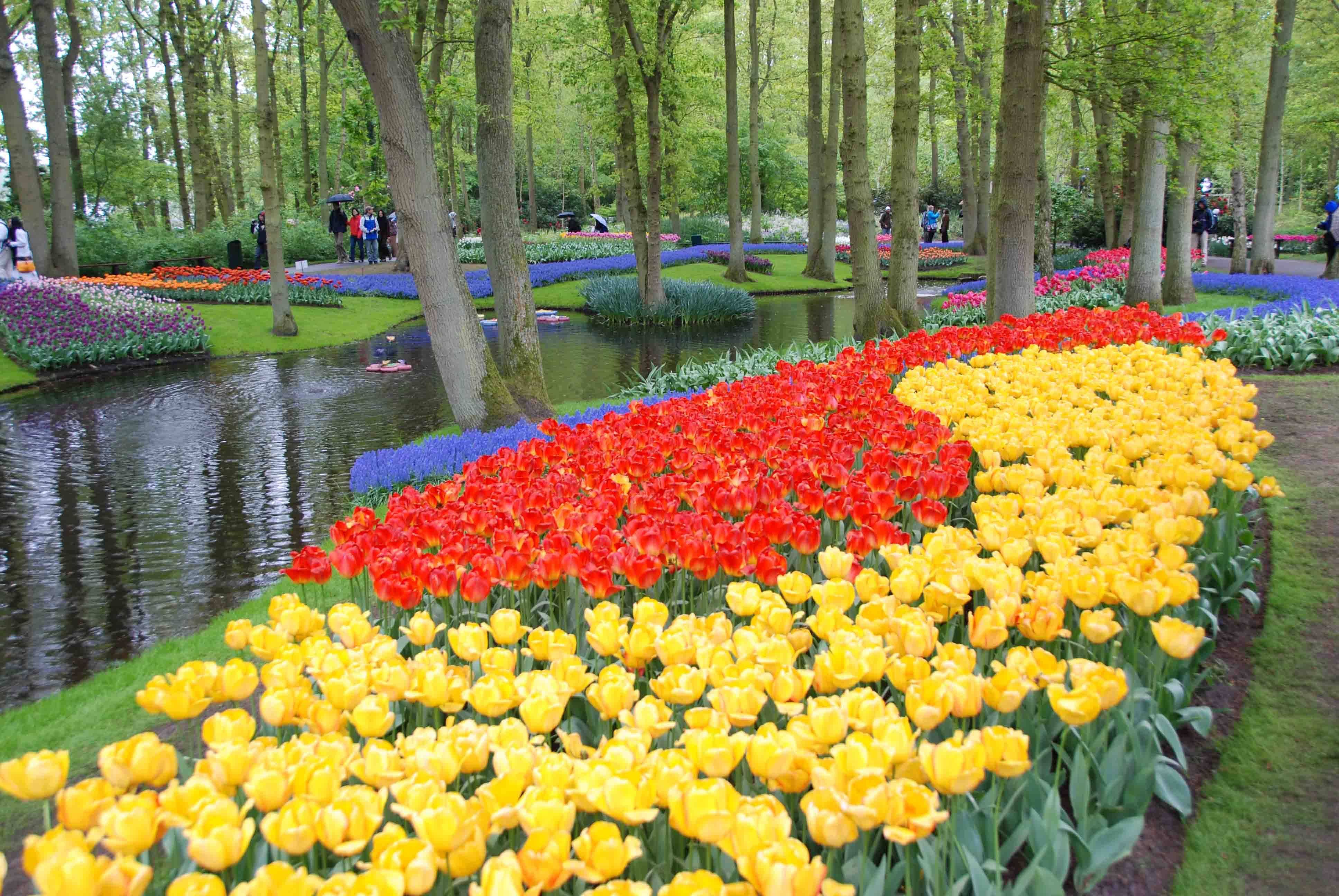 Keukenhof Gardens Holland