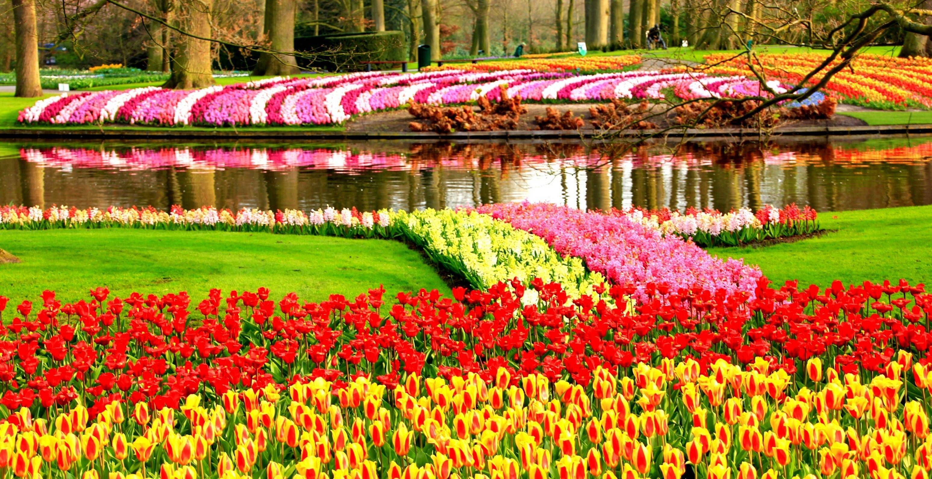 Keukenhof Gardens
