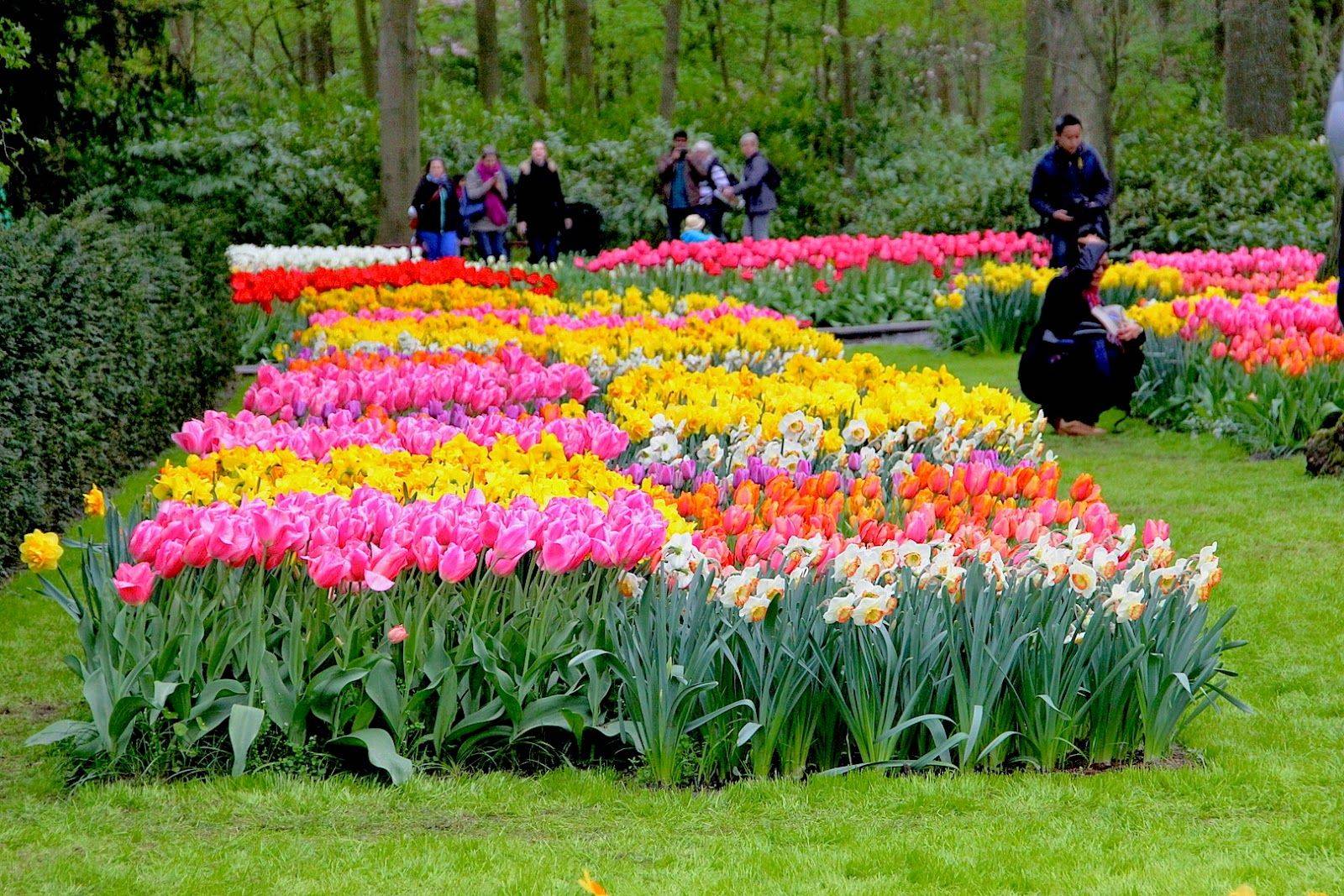 Spring Garden Spring Garden