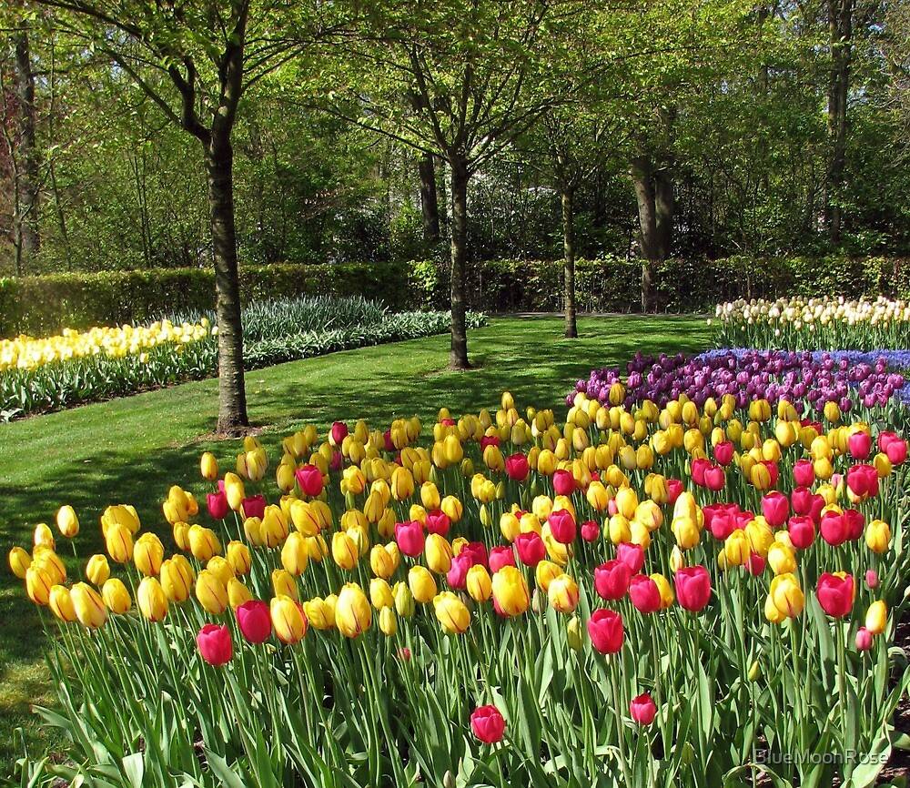 The Incredible Keukenhof Flower Gardens Arrivals
