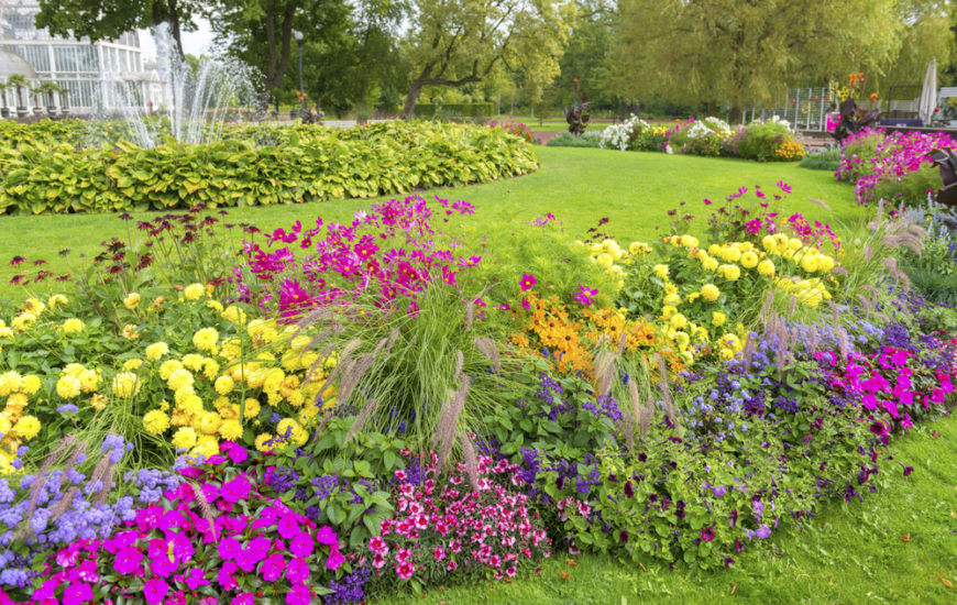 Elegant Flower Garden Layout Design Backyards