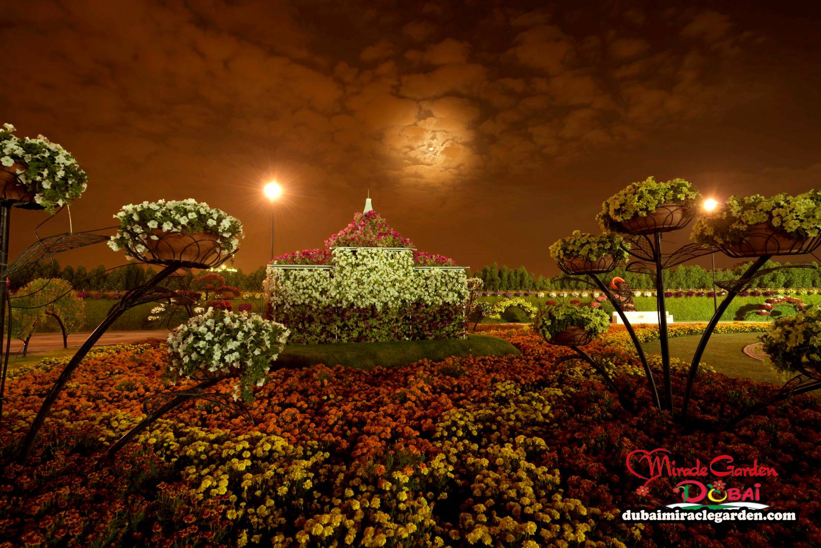 Dahlia Garden Anglesey Abbey Gardens
