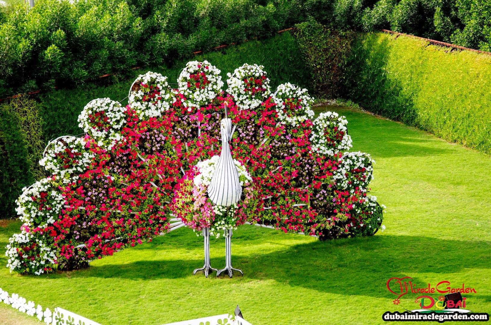 22 Worlds Largest Flower Garden Ideas You Must Look SharonSable