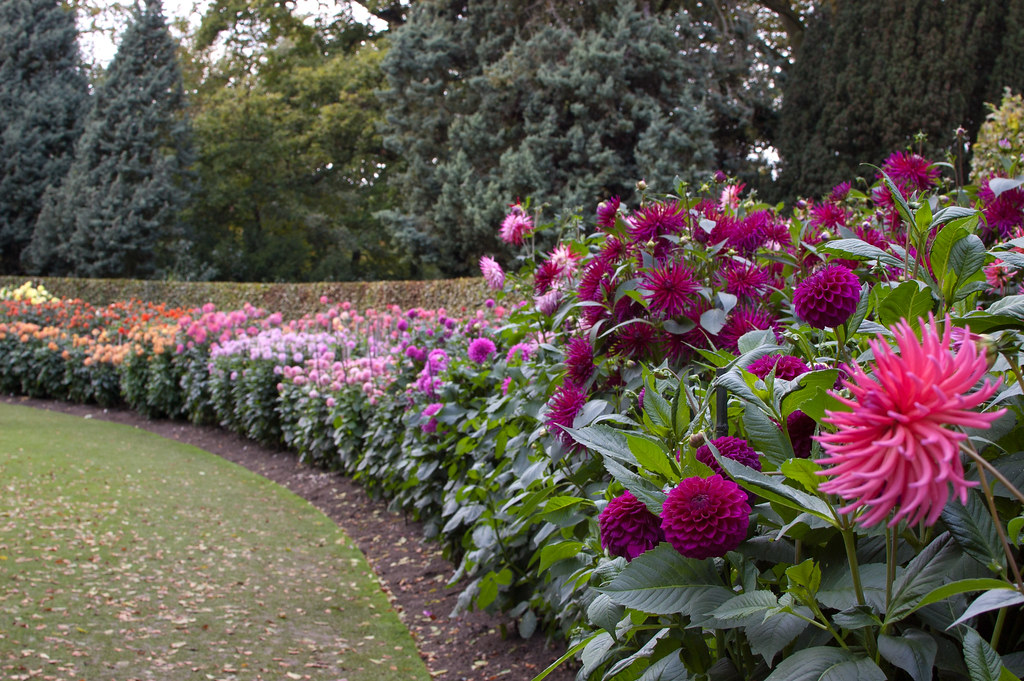 The Worlds Biggest Flower Garden
