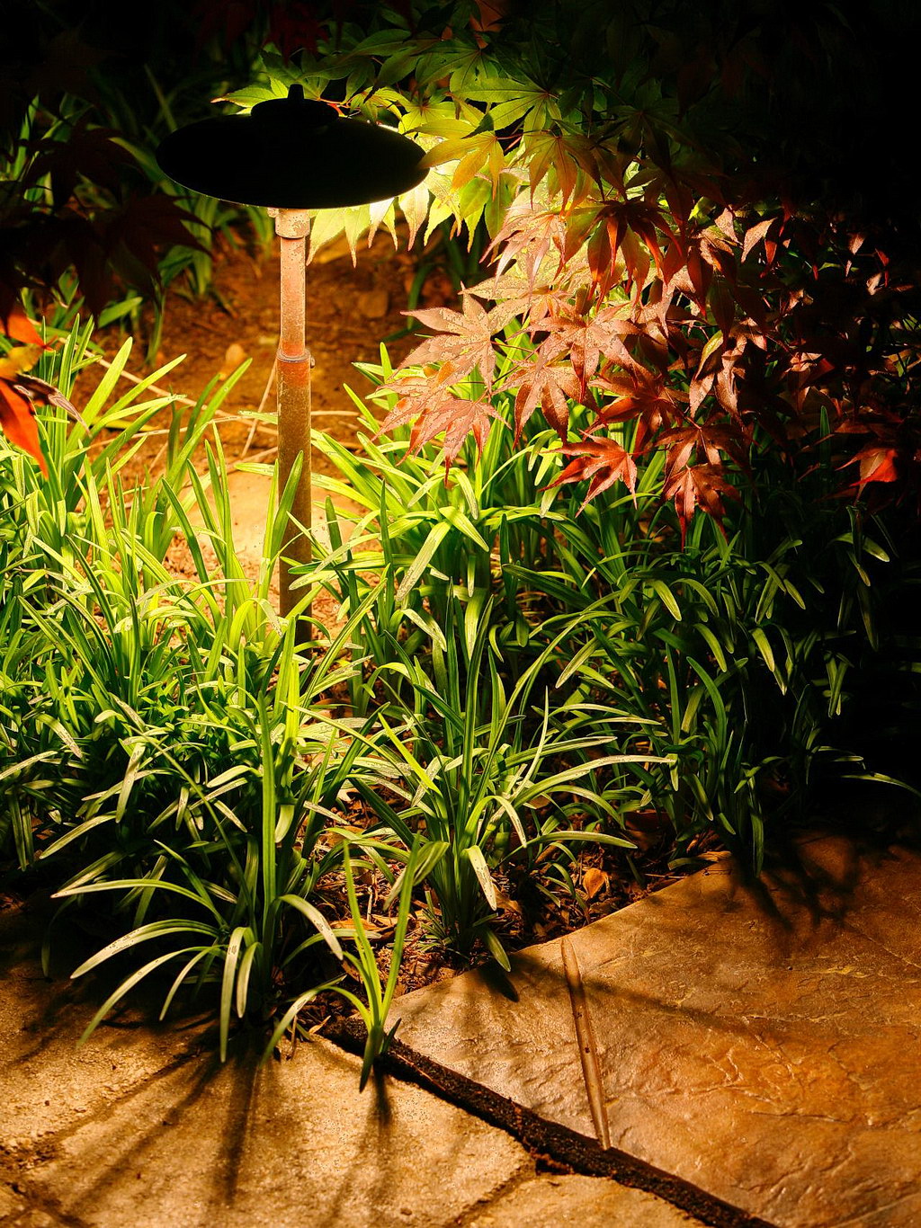 Gorgeous Garden Lighting Ideas