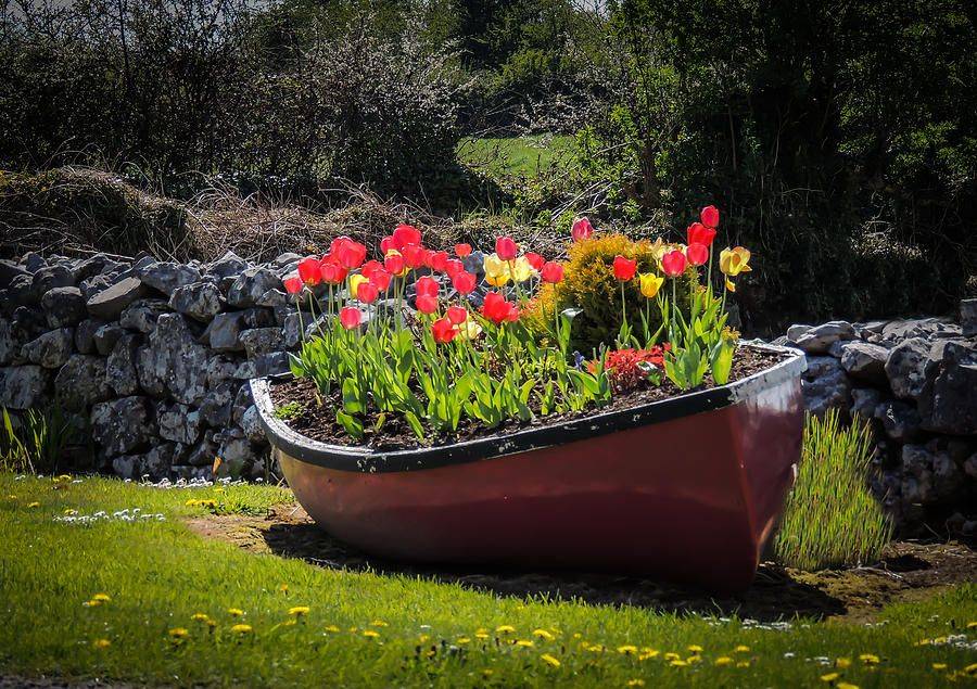Boat Planter Diy Rock Garden Design