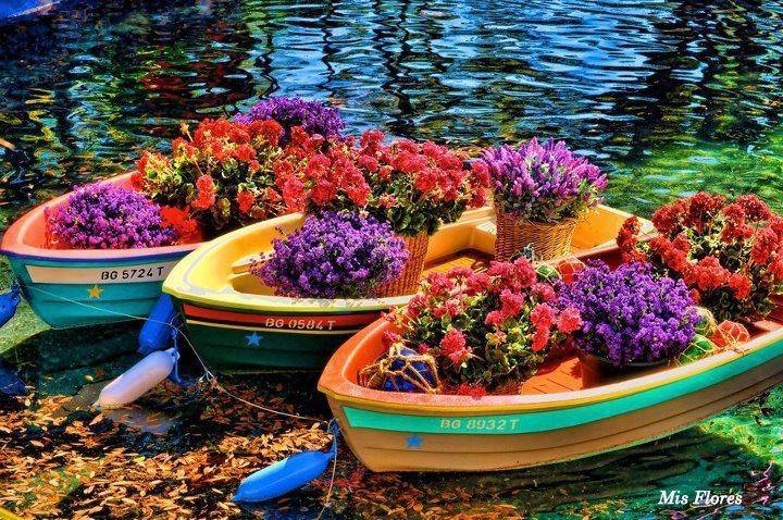 Flower Boat Floating Garden