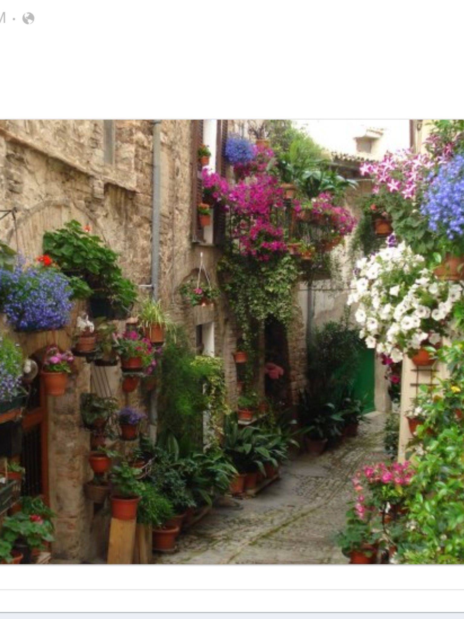 Makeover Tuscan Garden Ideas