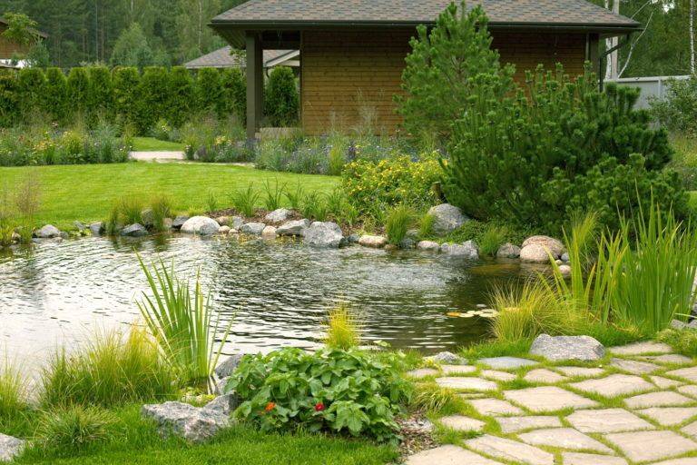 Small Garden Ponds
