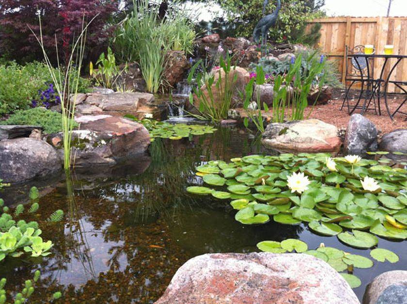 Small Garden Ponds