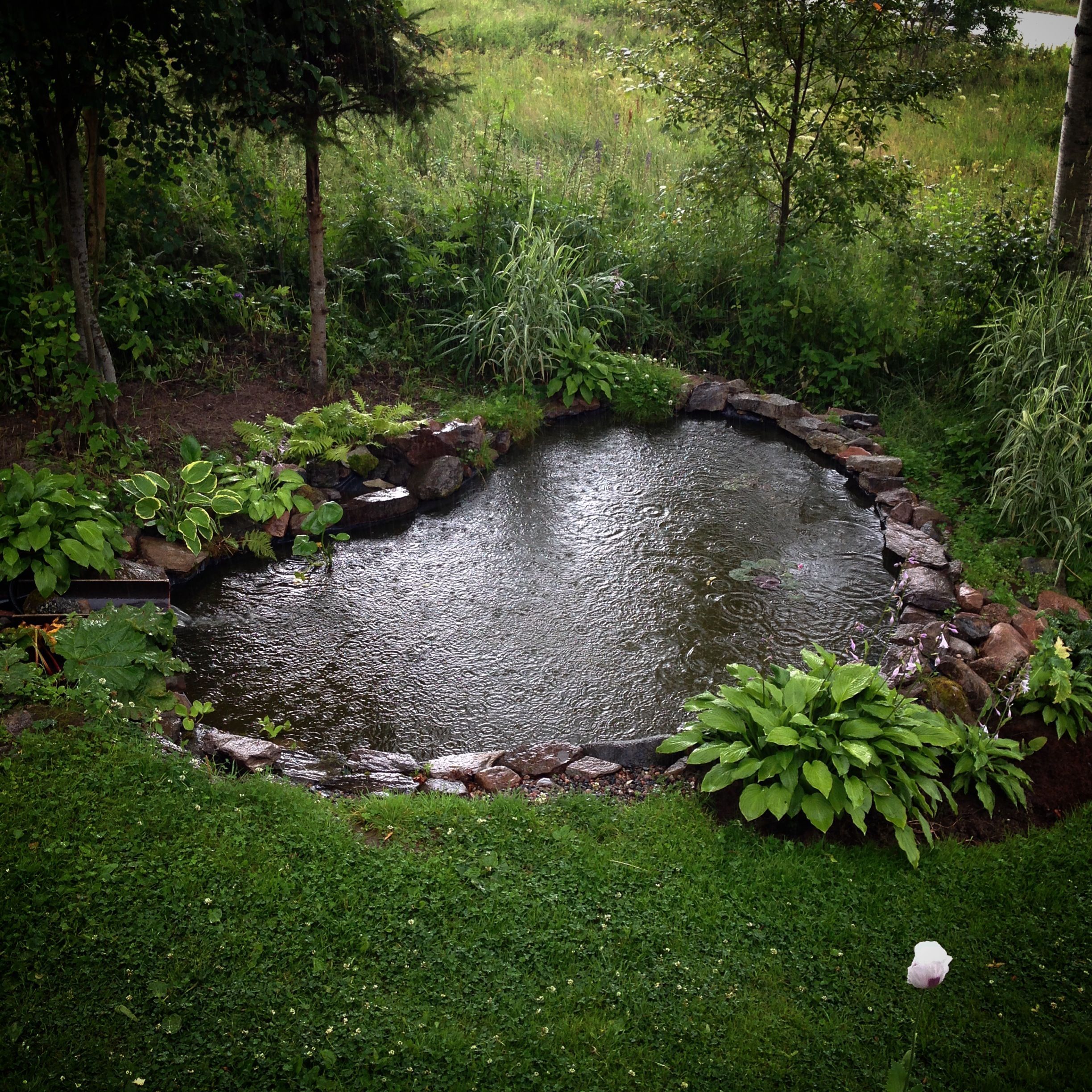 Garden Ideas Flower Beautiful Backyard