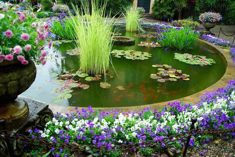 Beautiful Backyard Pond Ideas