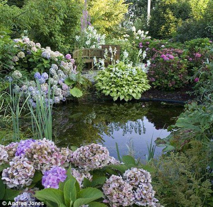 Google Search Ponds