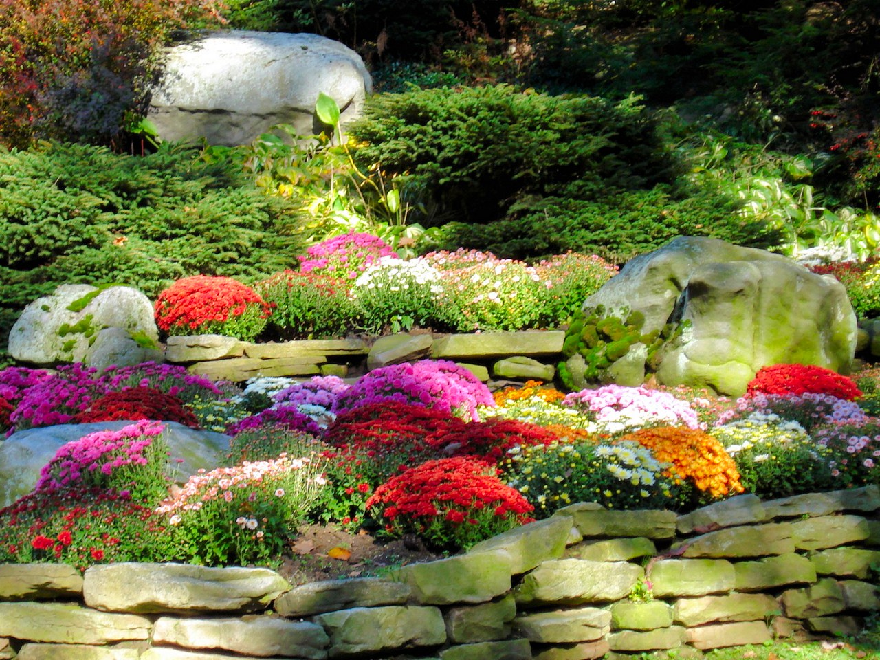 X Hd Garden Wallpaper