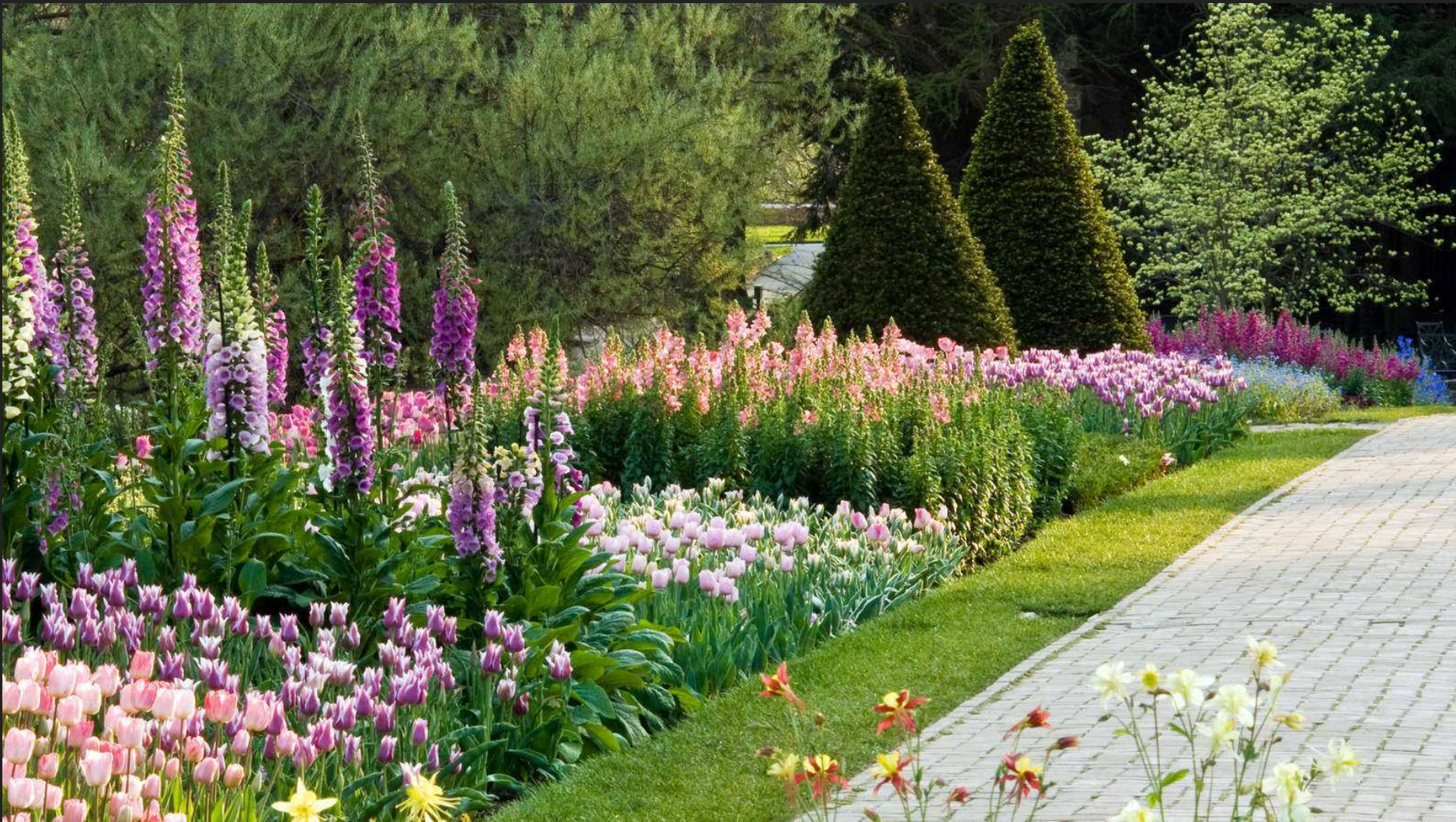 Free Longwood Garden Flowers Stock Photo Freeimagescom