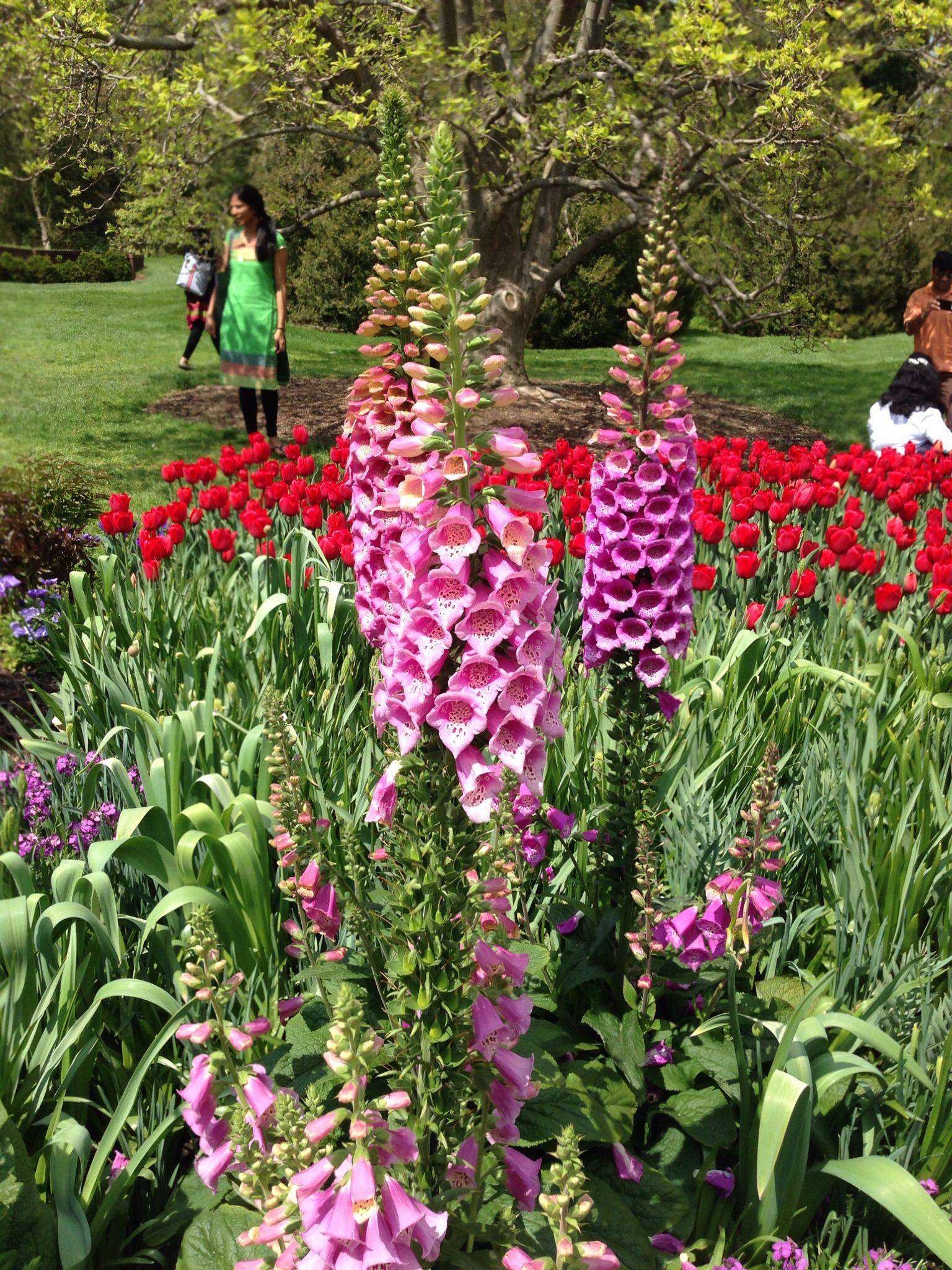 Longwood Gardens Longwood Gardens