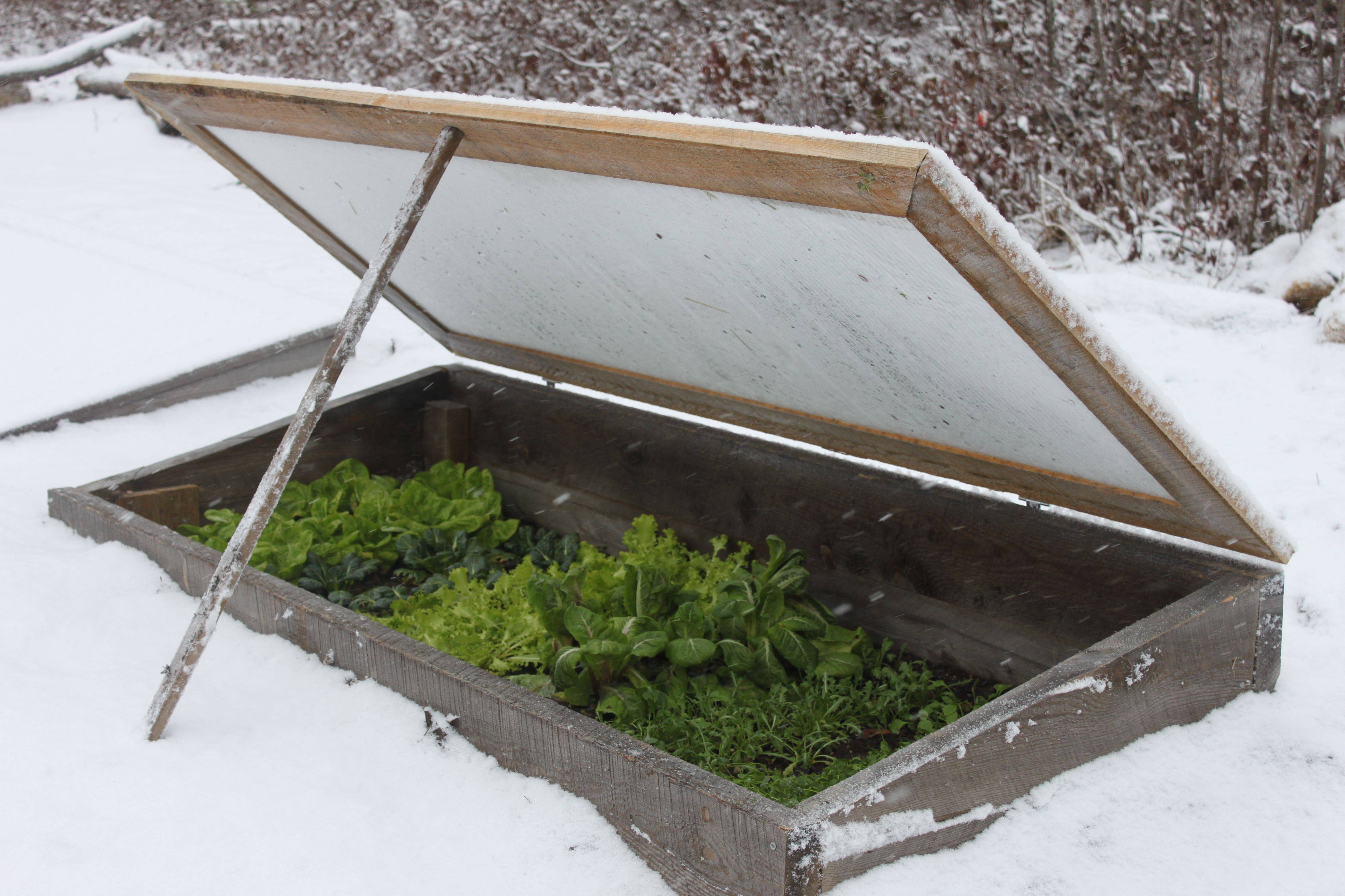 The Ultimate Raised Vegetable Garden