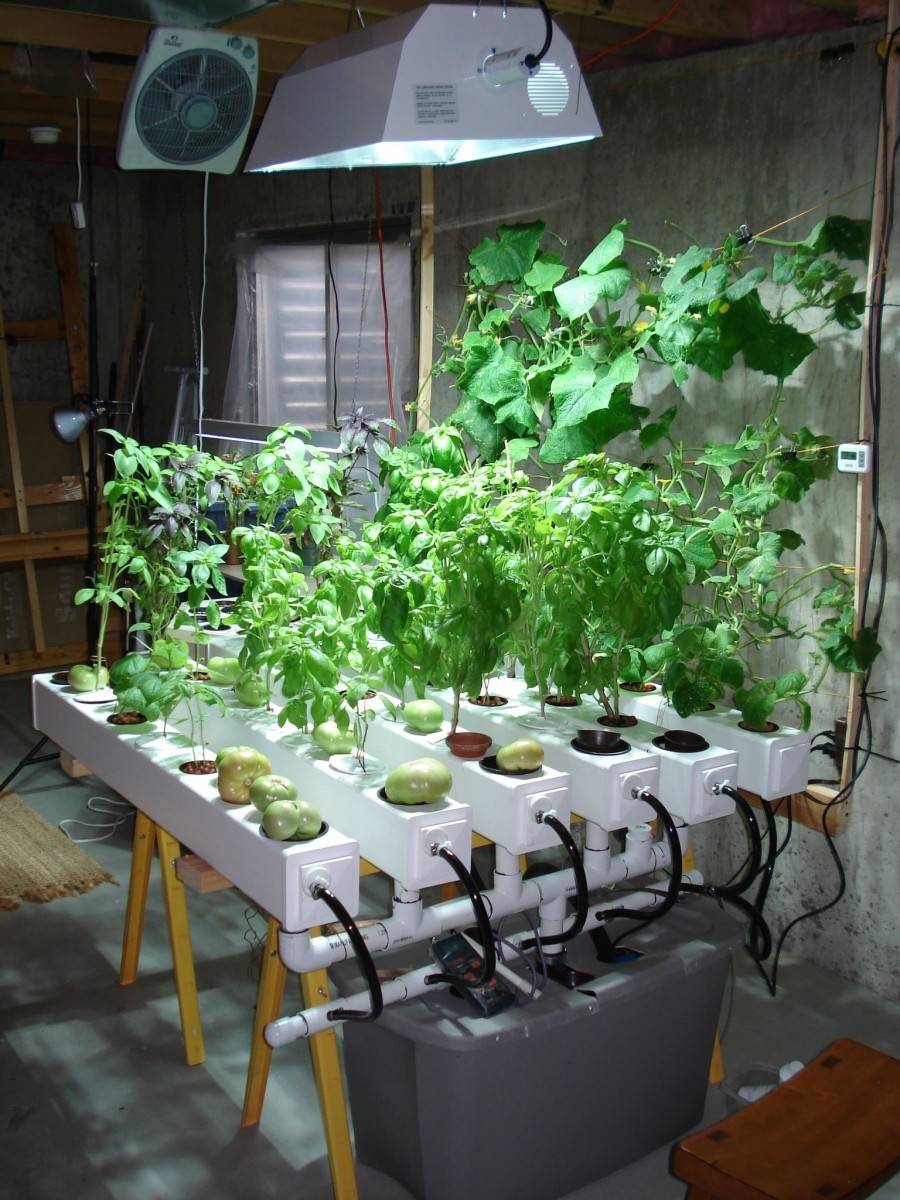 An Inexpensive Grow Room