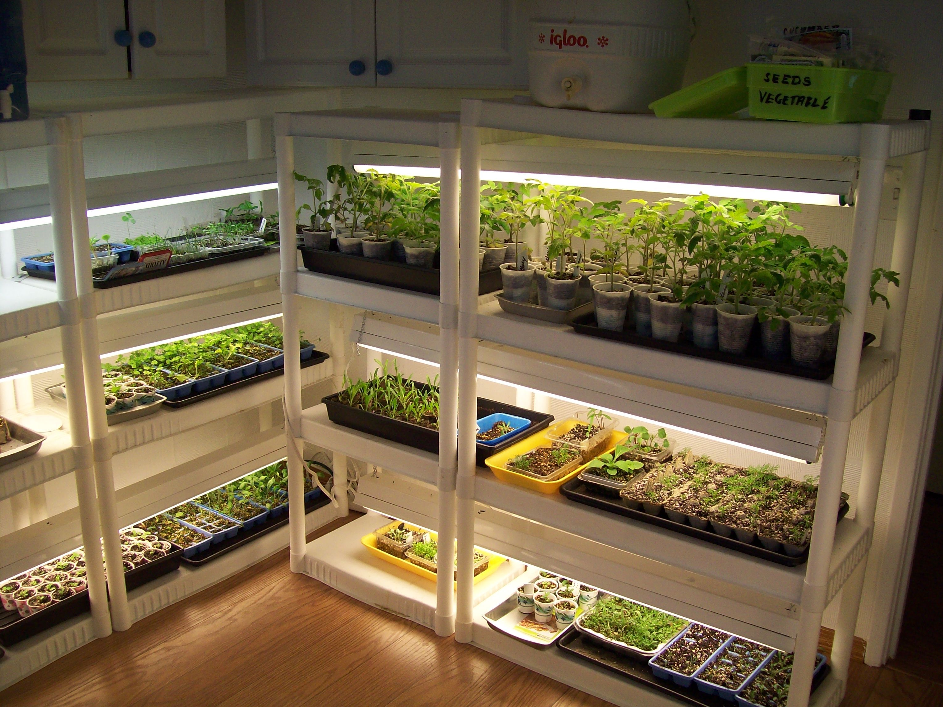 Best Plant Shelf Inspiration