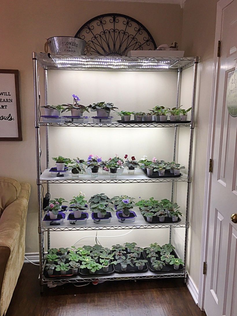 Light Setup Easy Yet Inexpensive Diy Led Grow Light Ideas