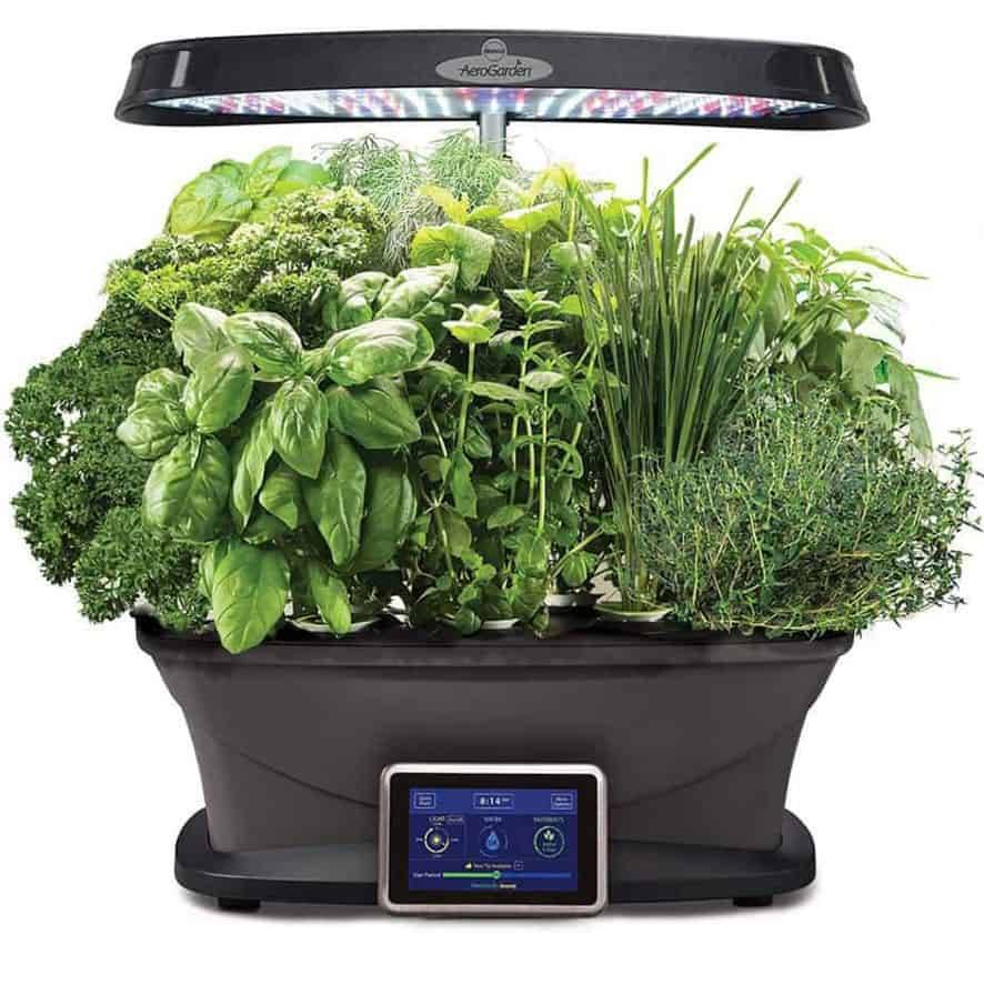 Best Indoor Herb Garden Kits Ideas