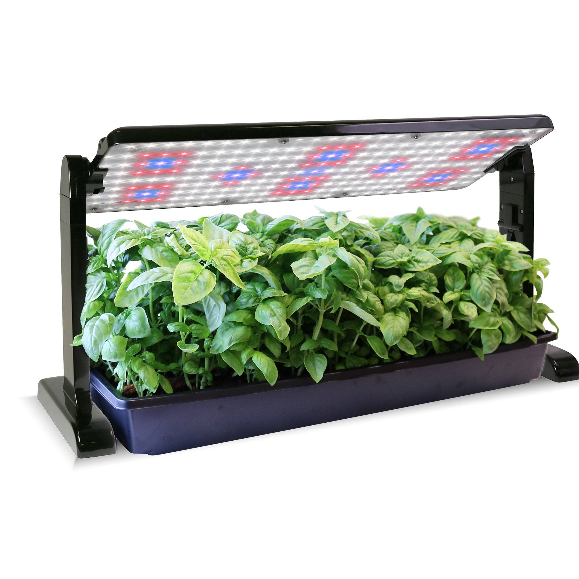 Best Indoor Herb Garden Kits Ideas