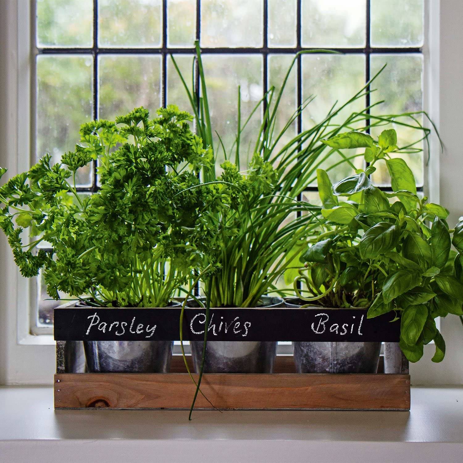 Hydroponics Growing System Indoor Herb Garden Planter Starter Kit