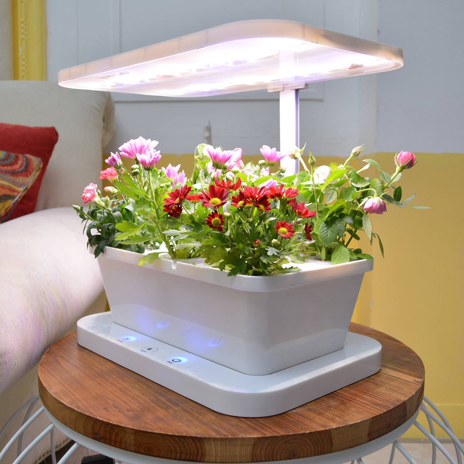 Indoor Herb Garden Kits