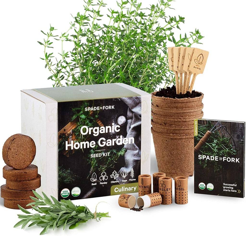 Indoor Herb Garden Starter Kit Certified Usda Organic Non Gmo