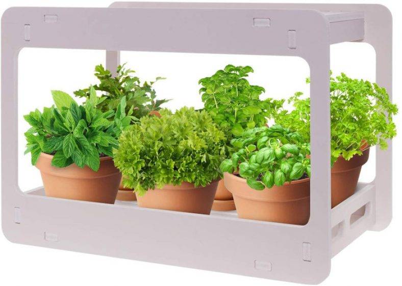 20 Indoor Herb Garden Kits Ideas Worth to Check SharonSable