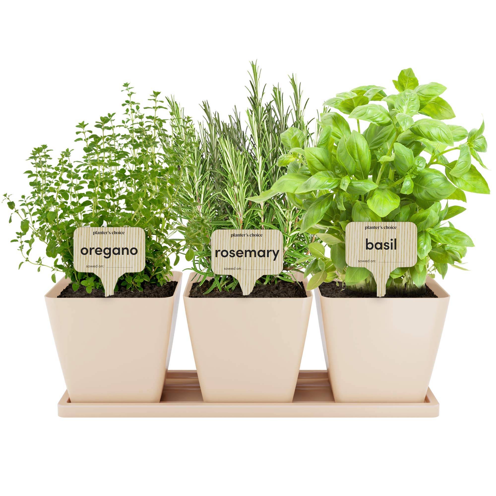 20 Indoor Herb Garden Kits Ideas Worth to Check SharonSable