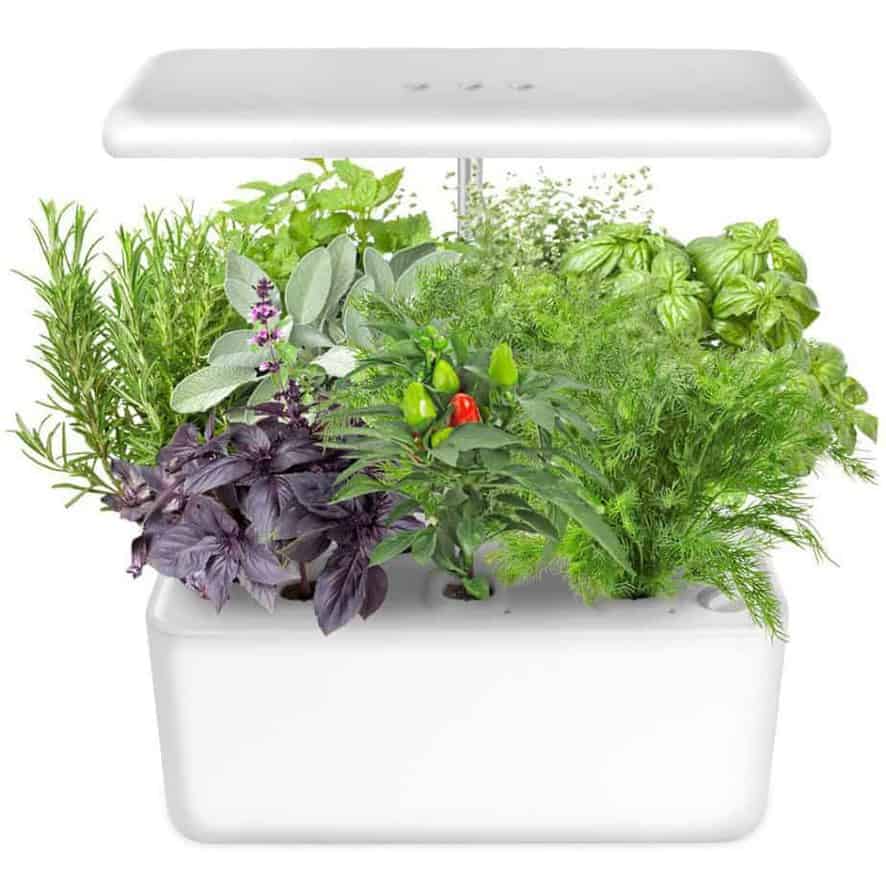 The Best Indoor Herb Garden Kits