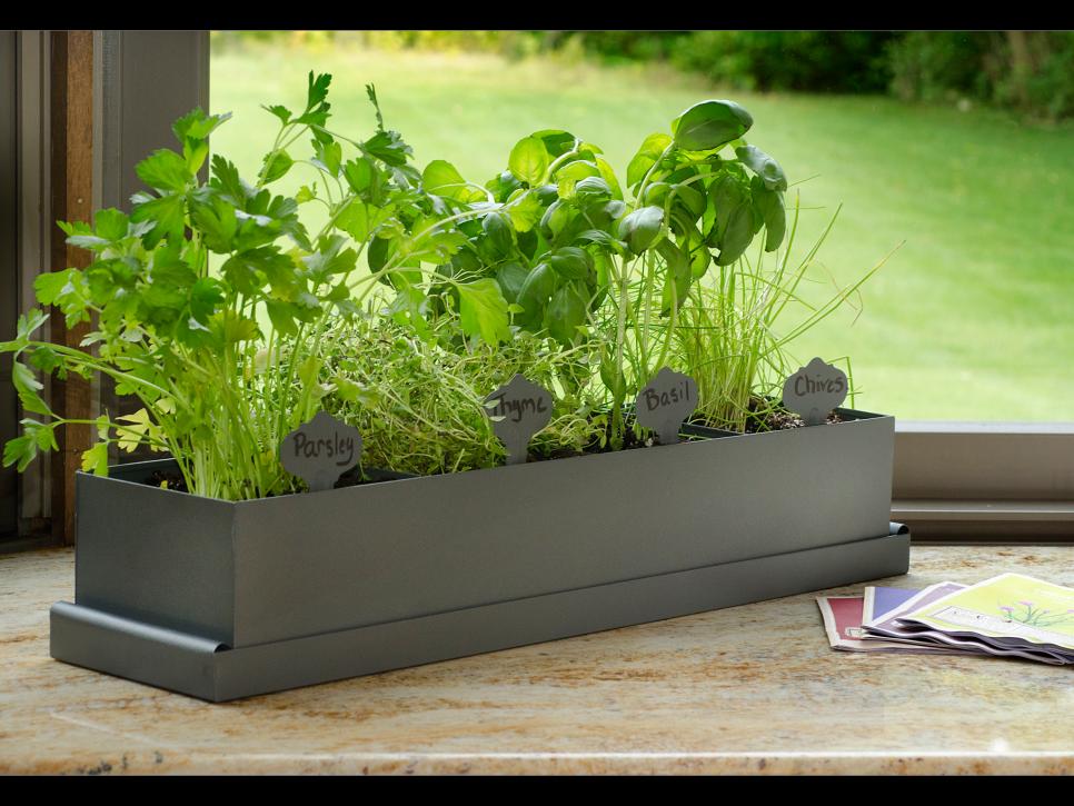 Indoor Herb Garden