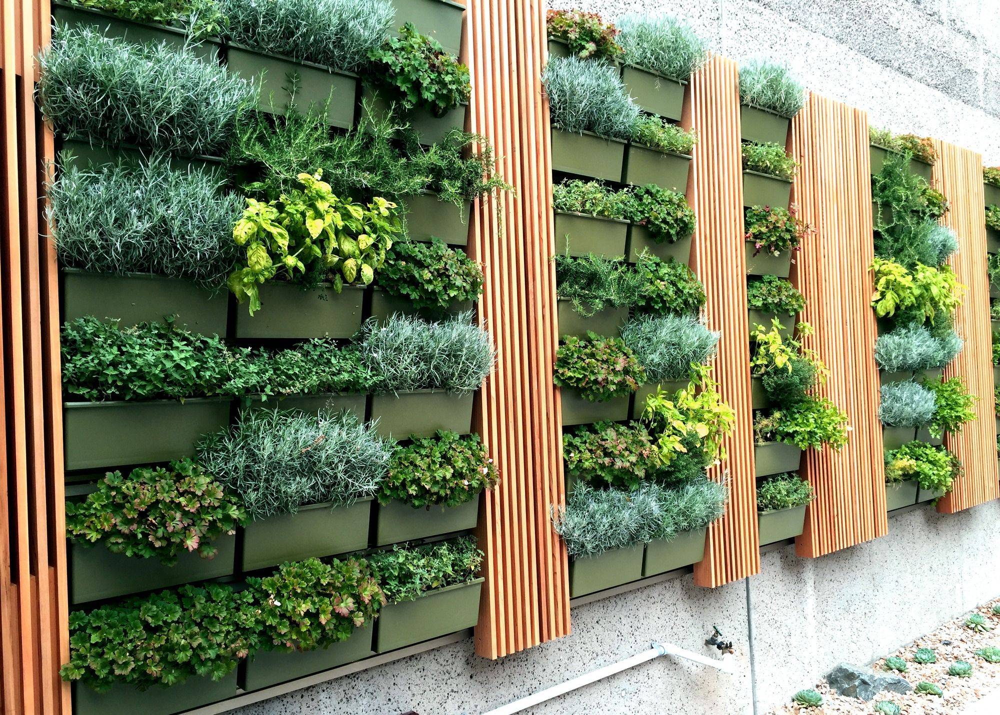 Stunning Indoor Wall Herb Garden Ideas