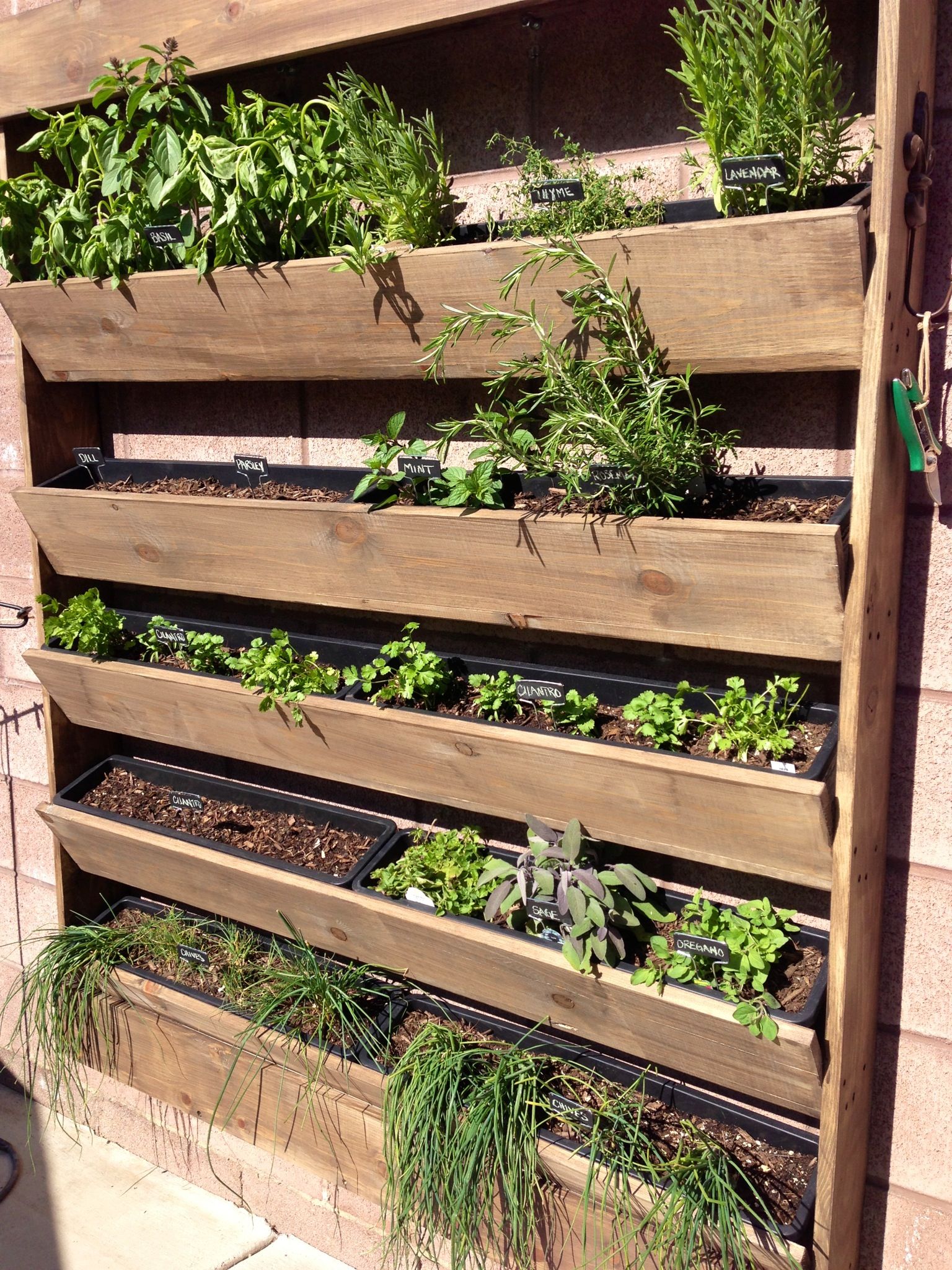 Small Garden Ideas