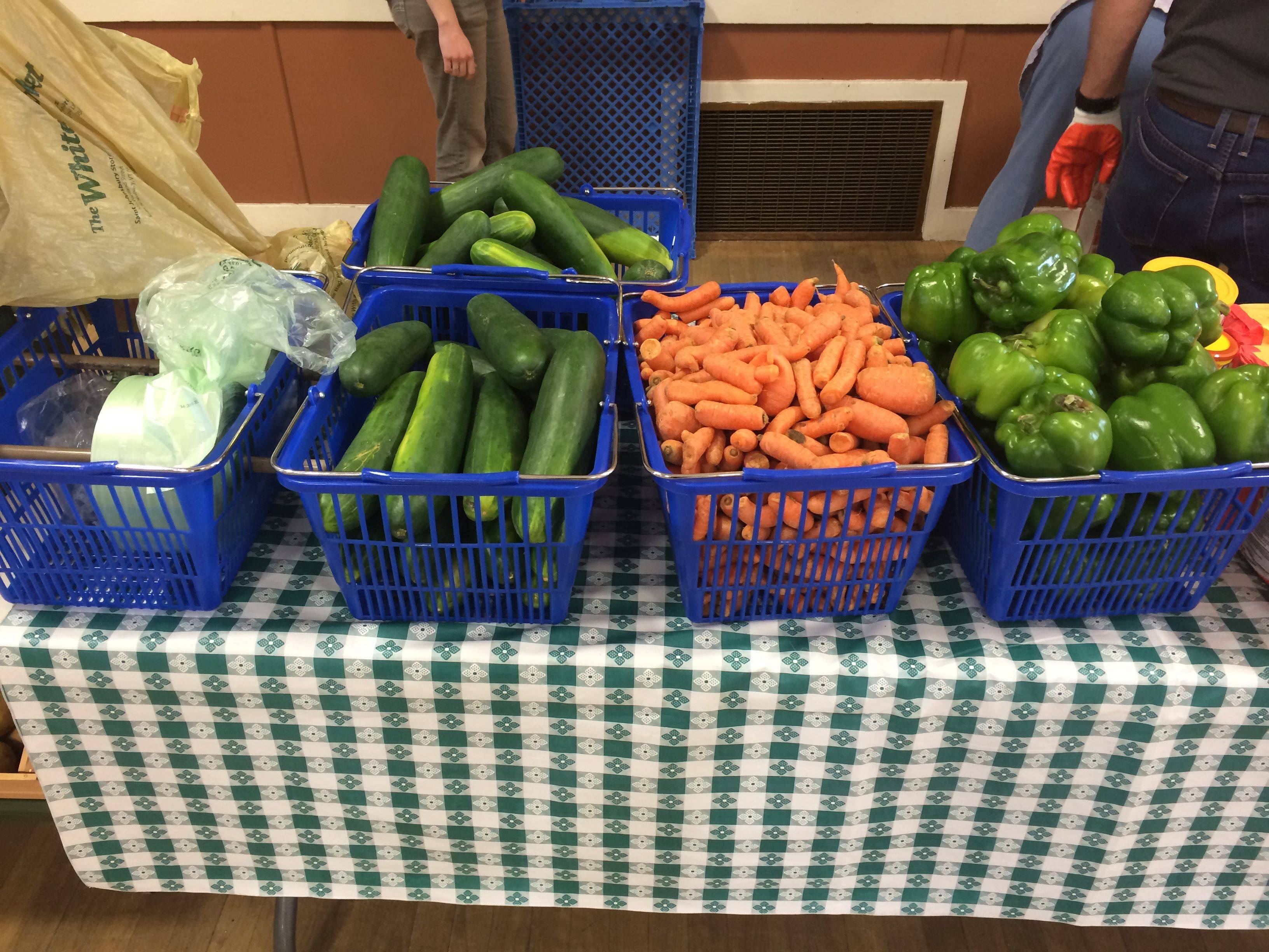 Innovative Food Gardens Ideas