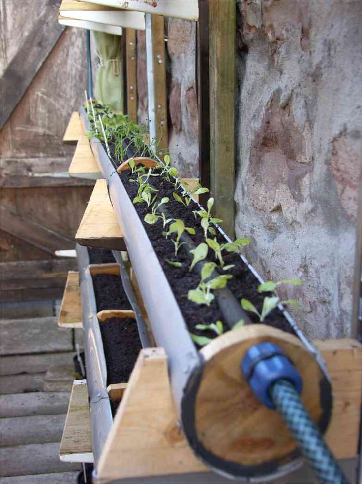 Indoor And Outdoor Garden Craft Projects