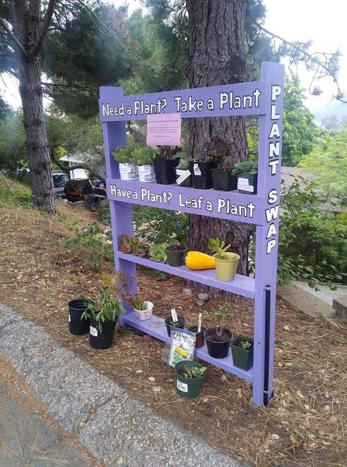 The Best Sweet Edible Garden Ideas