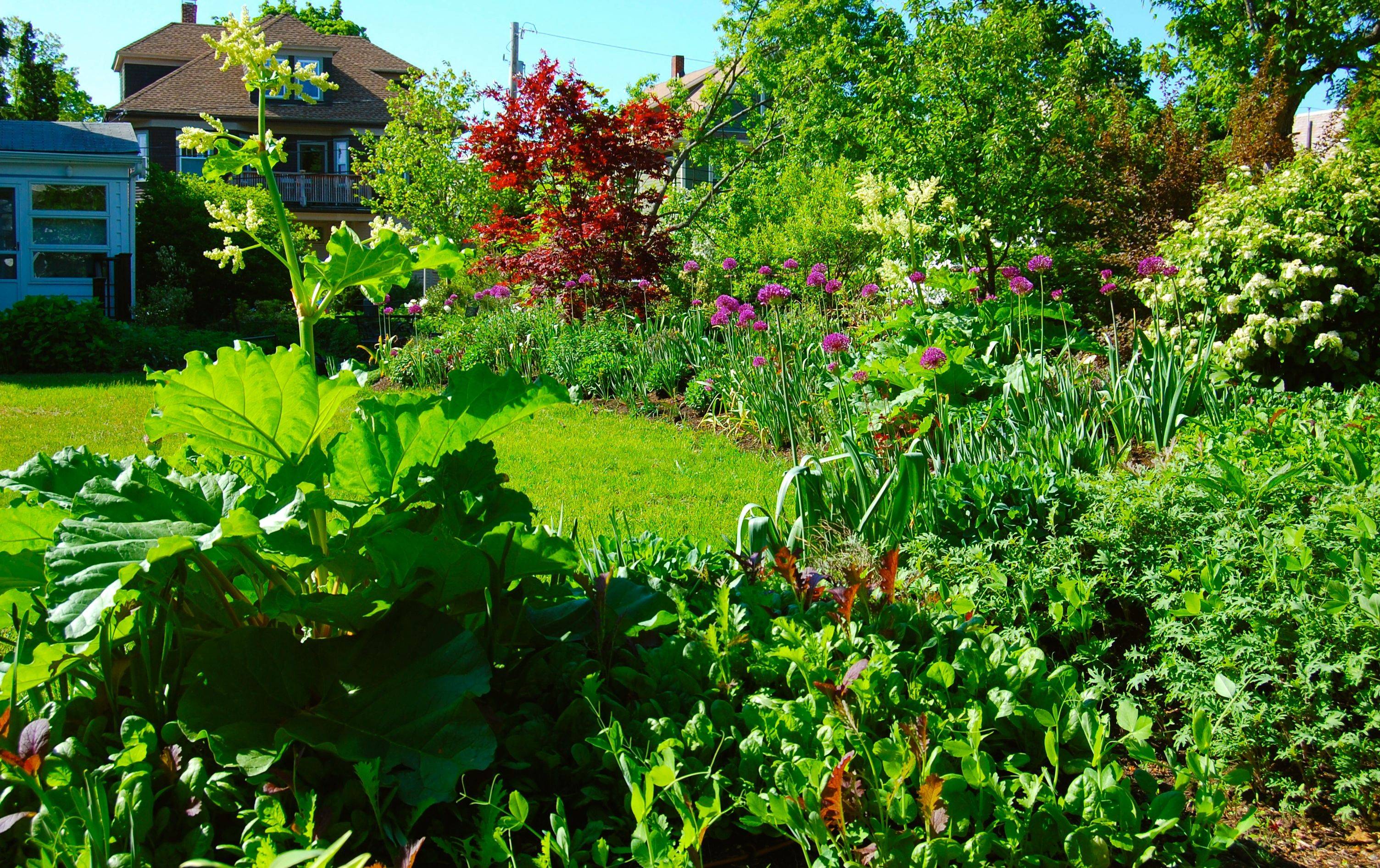 Proven Winners National Container Garden Recipes Donaldson